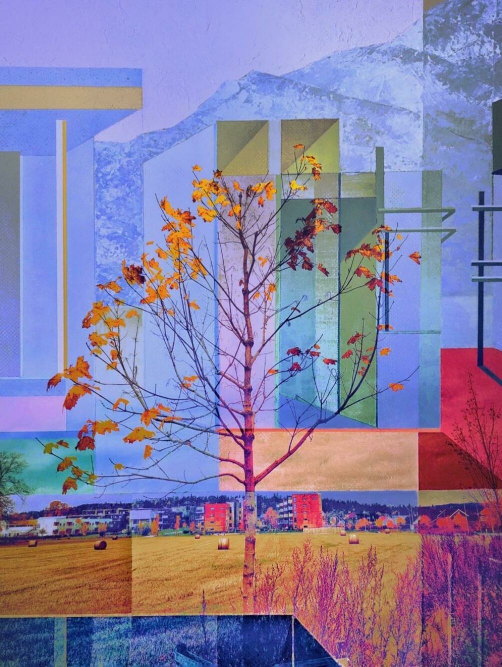 Violet Polsangi Amber Light 67 x 50 cm DGA Opplag 90 NOK 5 000