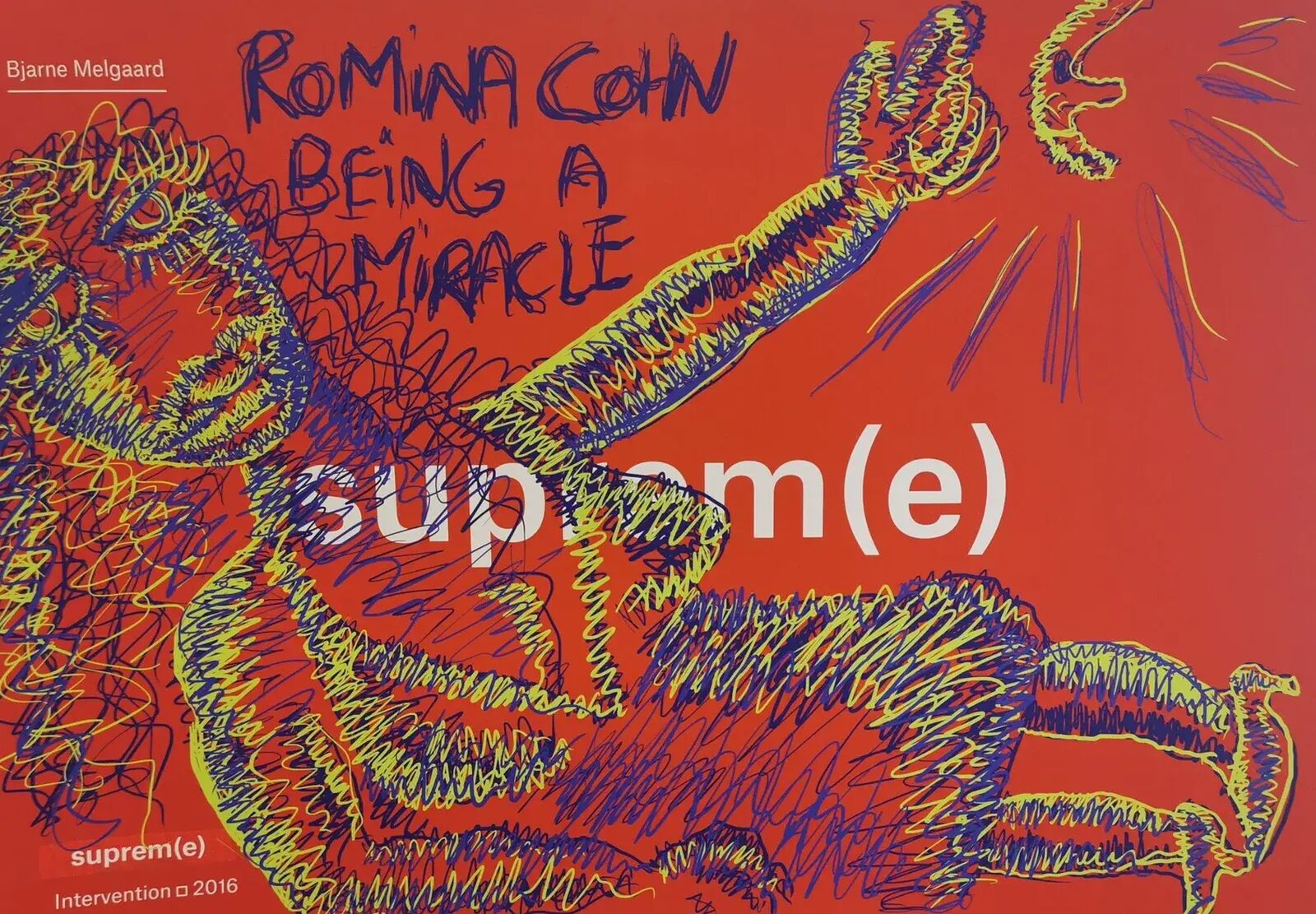 Supreme DGA 70x100cmpapir90x118 12000nok