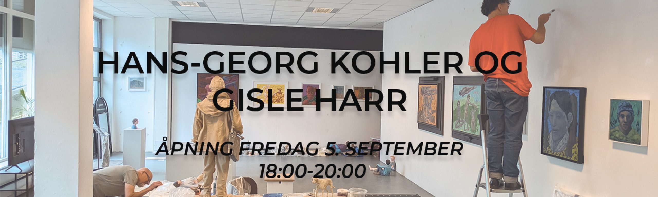 BANNER TIL NETTSIDE APNING